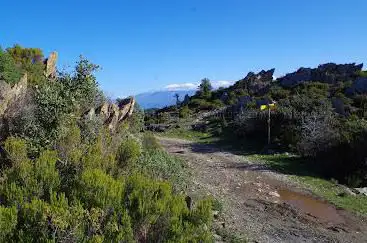 Photo de Coll de Canals