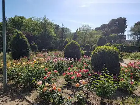 Photo de Rosaleda del Parque O Donnell
