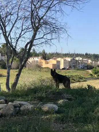 Photo de La Lloma