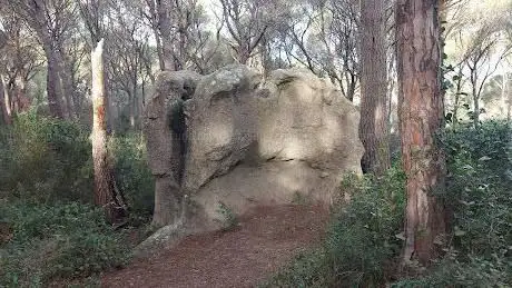 Pedra de les Pasteres