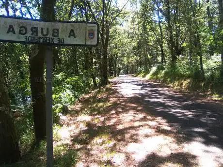 Paseo Fluvial A Burga