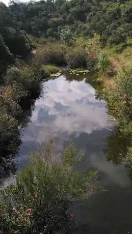 Rivera Del Chanza