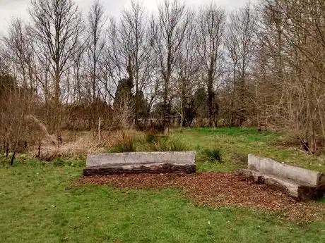 Photo de Centenary Wood