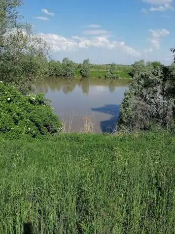 Photo de Oasi 