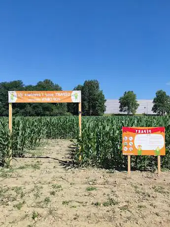 Photo de Pop Corn Labyrinthe URRUGNE - Labyrinthe Géant de Maïs ouvert juillet-aout