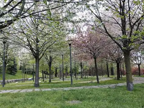 Giardino dei Giusti di tutto il Mondo