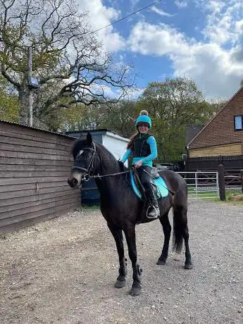 Polegate Equestrian Centre