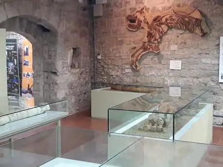 Musée archéologique de Banyoles