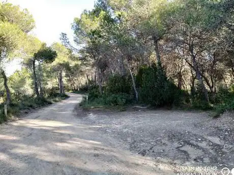Photo de Turó dels tres Partions
