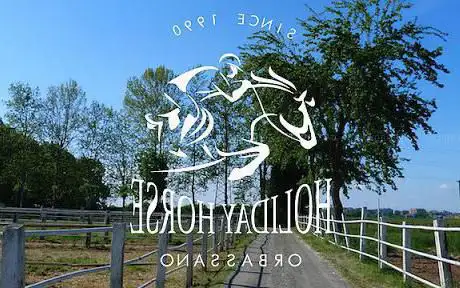 Holiday Horse ASD