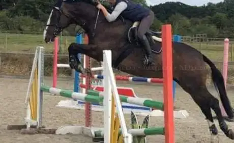 Photo de April Farm SJ Centre