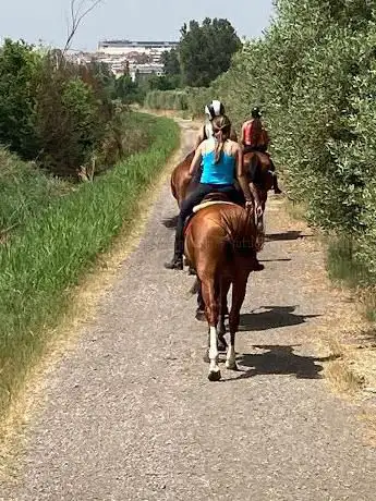 Photo de Tiber Riding Club Fontevivola