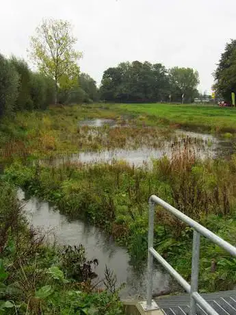 Provinciaal Overstromingsgebied Babbelse Plassen