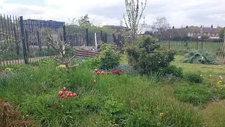 Photo de Southgate Chase Allotments