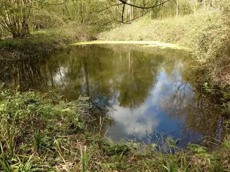 Photo de Belcher's and Broadfield Woods