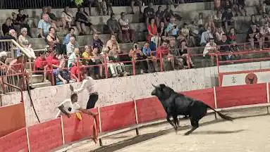 Photo de Arènes de Cabannes