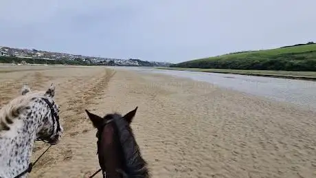 Newquay Riding Stables