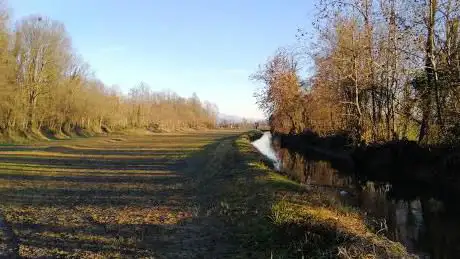 Wolf Valley