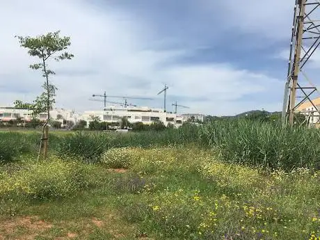 Photo de Flamenco Park