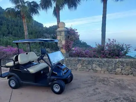 Photo de BUGGY DE GOLF
