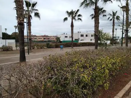 Photo de Paseo Po (Palmeras~Olivos)