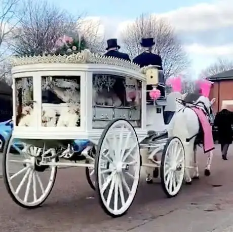 Photo de North East Carriage Co Ltd