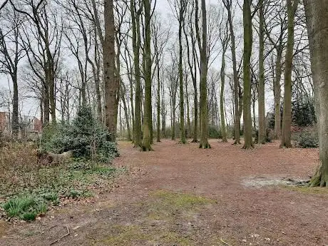 Photo de Buurtspeelplein 't Statieboske