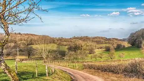 Photo de Office de Tourisme Forêts Seine et Suzon