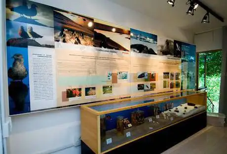 Museo Nazionale dell'Antartide - Sezione di Siena