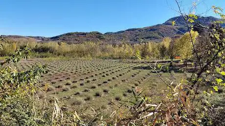 GreenWay Voghera-Varzi