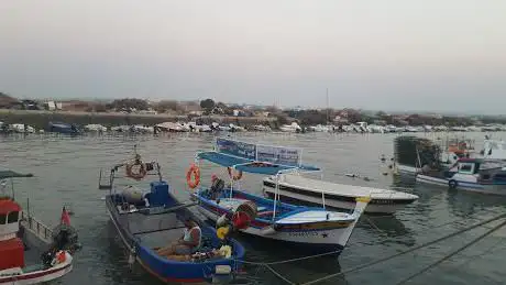 Photo de Barcos carreira regulares Fuseta-Armona