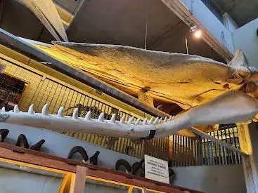 MuseOs