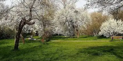 Photo de Parc de Fontaine Lestang