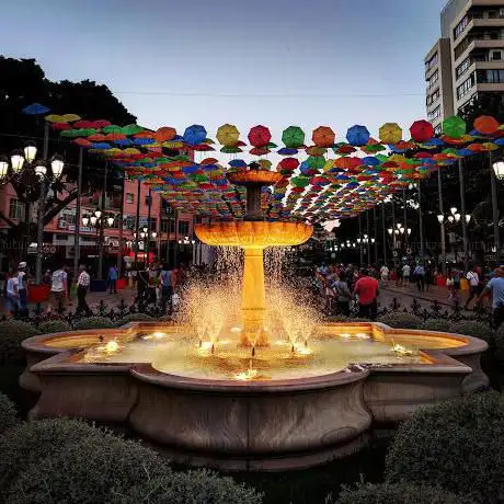 Photo de Plaza de la Nogalera