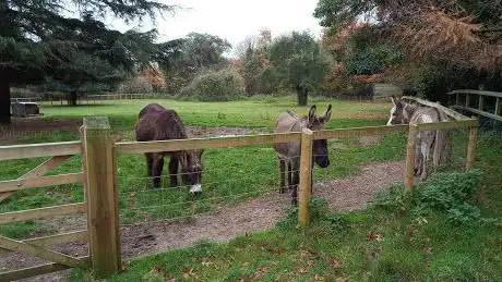 Photo de Staunton Farm