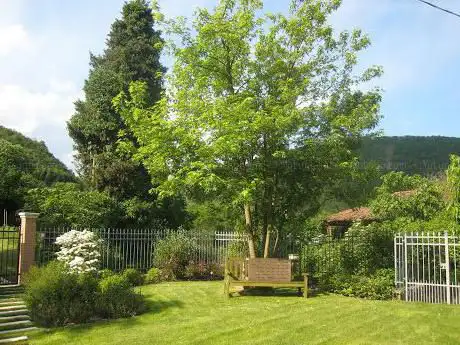 ABgreen - Progettazione del verde