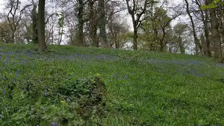 Photo de Coed y Bwnydd