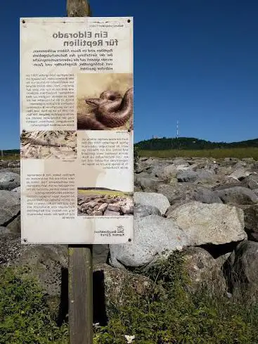 Ein Eldorado für Reptilien - Naturschutzgebiet Fildern