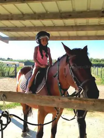 Photo de Ecurie au Ptit Trot