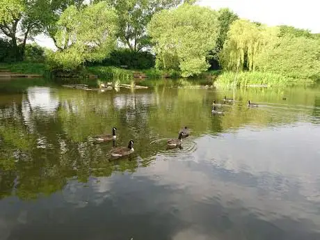 Charlton's Pond