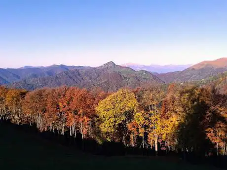 Photo de Cascina d'Armirone