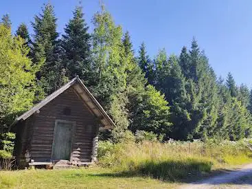 Photo de Grüne Sitzbank