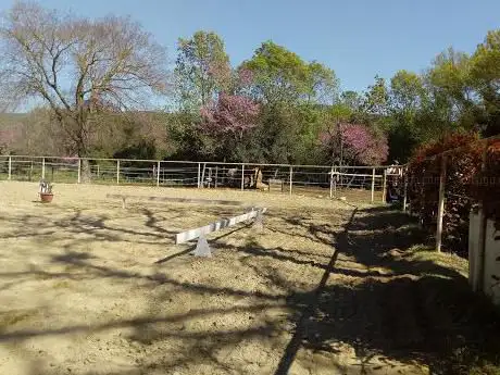 Photo de Natura e cavallo