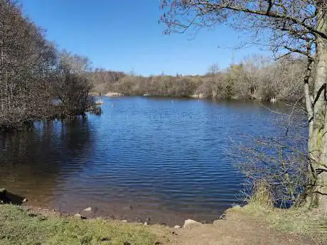 Photo de Straiton Pond Local Nature Reserve