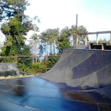 Country Skate