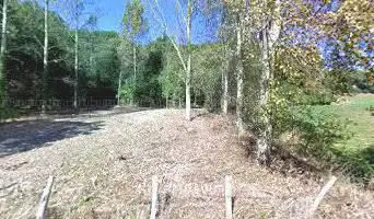 Heynsdalebos