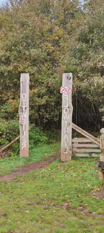 MTB Flowtrail Ubergang