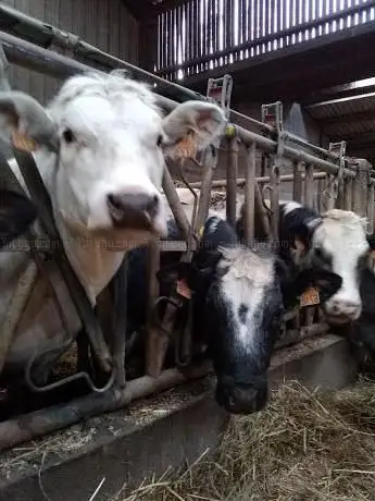 Ferme Pédagogique Legghe