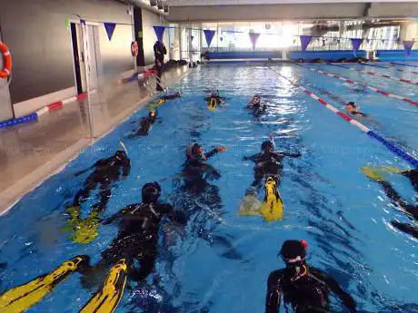 Artquatic
