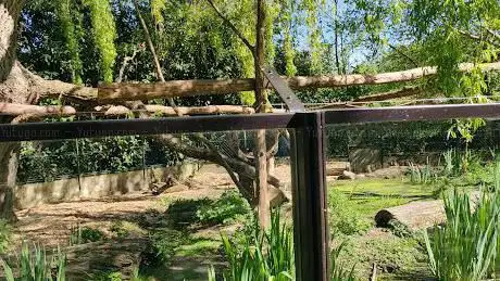 Photo de Entrée / caisse Safari Zoo Thoiry
